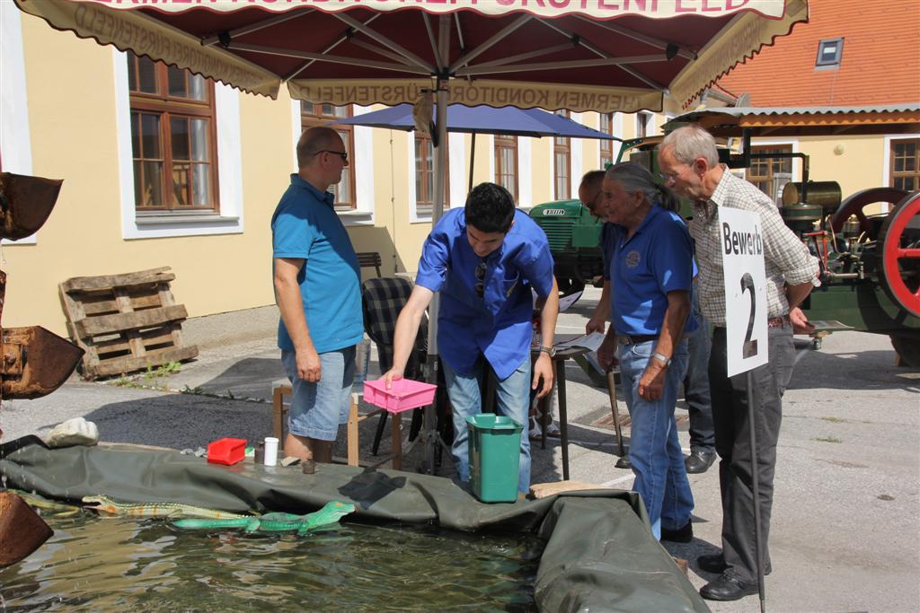 2013-07-14 15.Oldtimertreffen in Pinkafeld